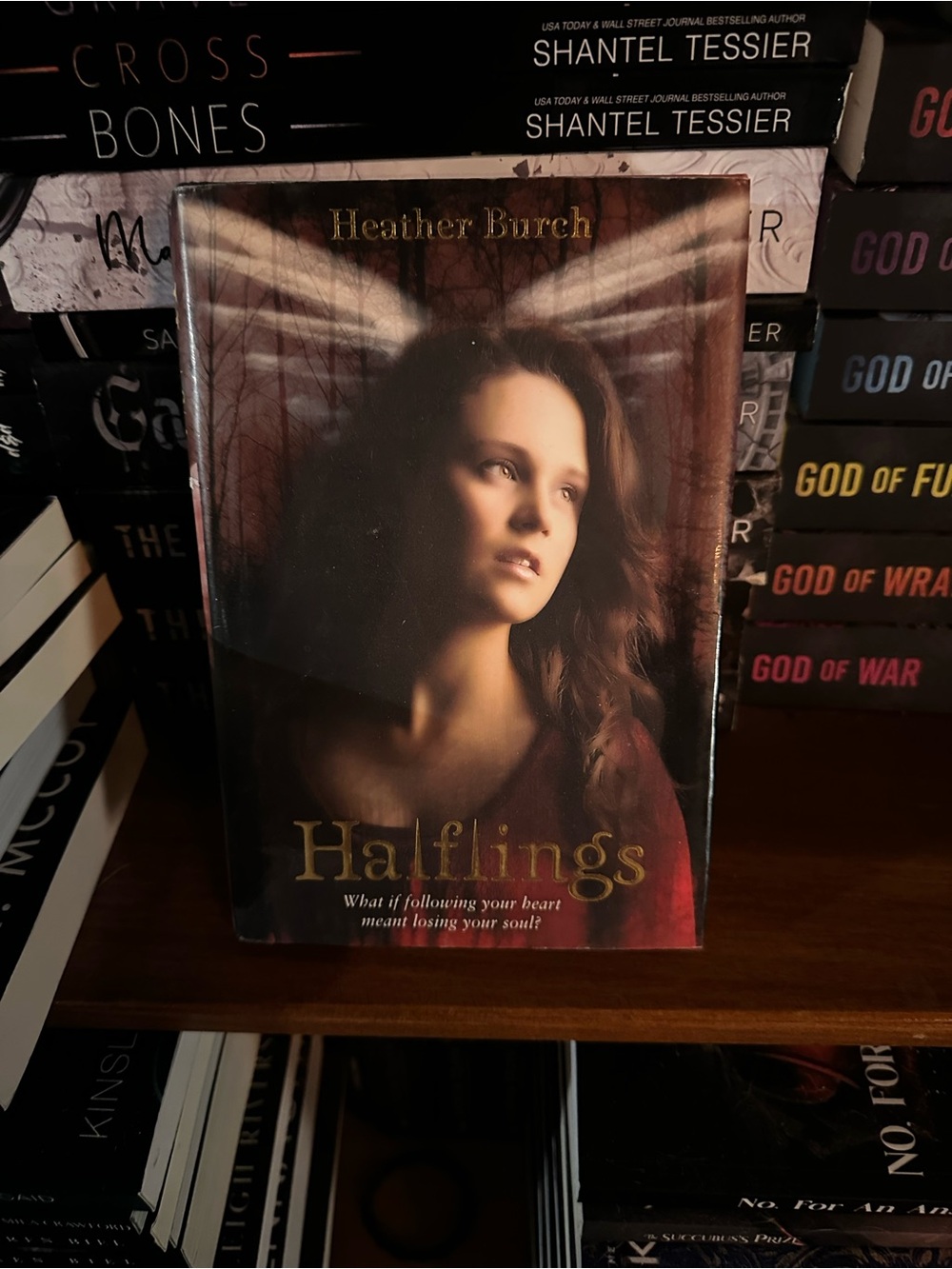 Halflings by Heather Burch - Red/Brown Cover